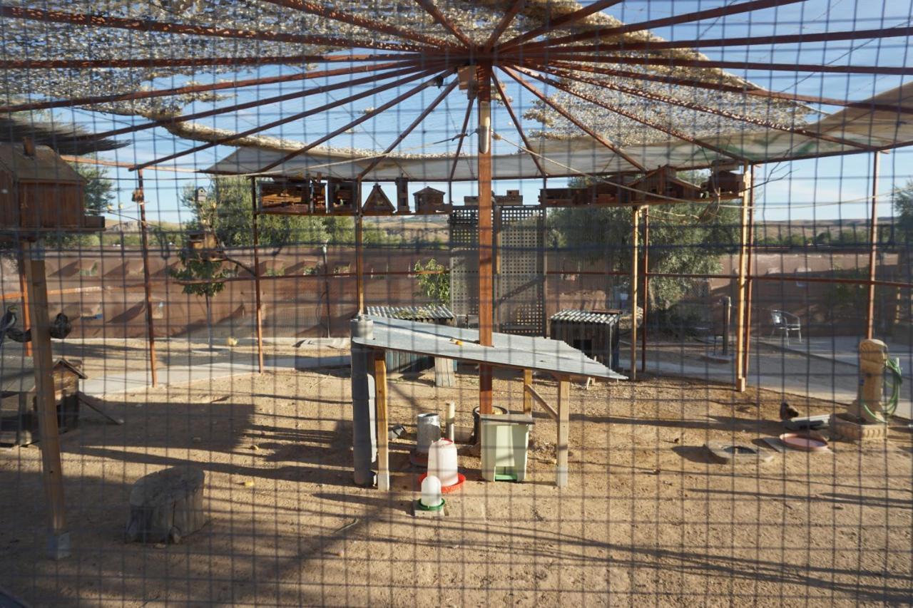 Вилла Cuchi Farm Чинчон Экстерьер фото